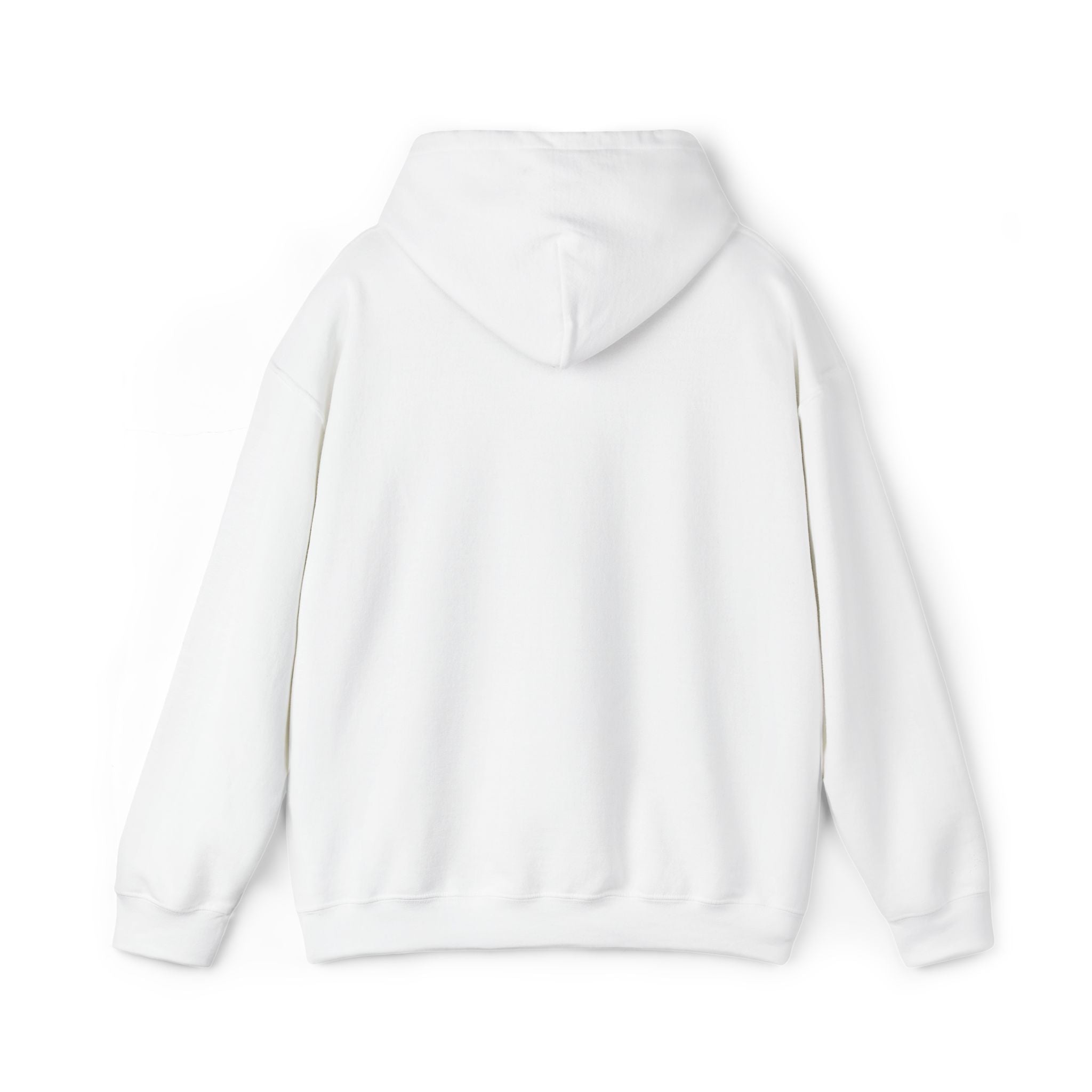 Embroidered Varsity Style Hooded Sweatshirt