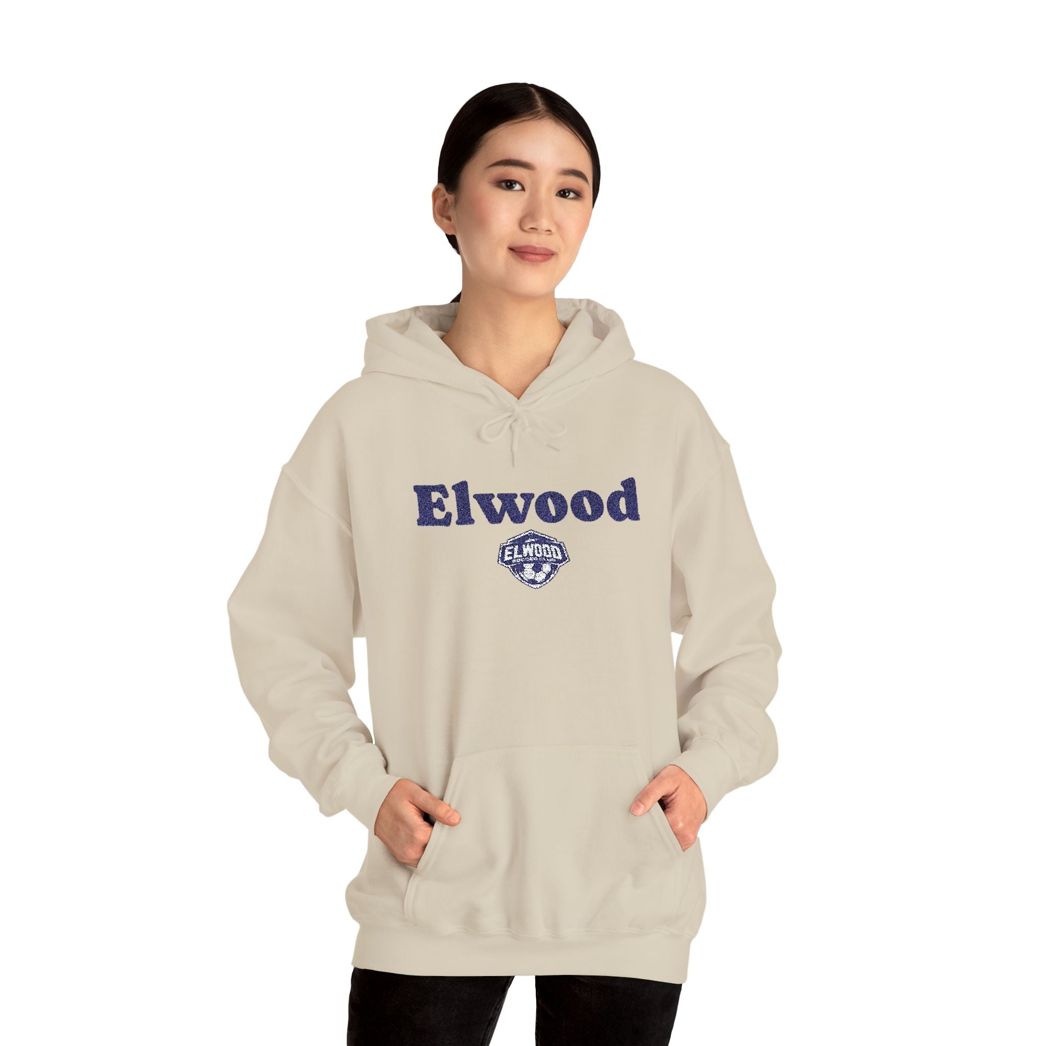 Embroidered Varsity Style Hooded Sweatshirt